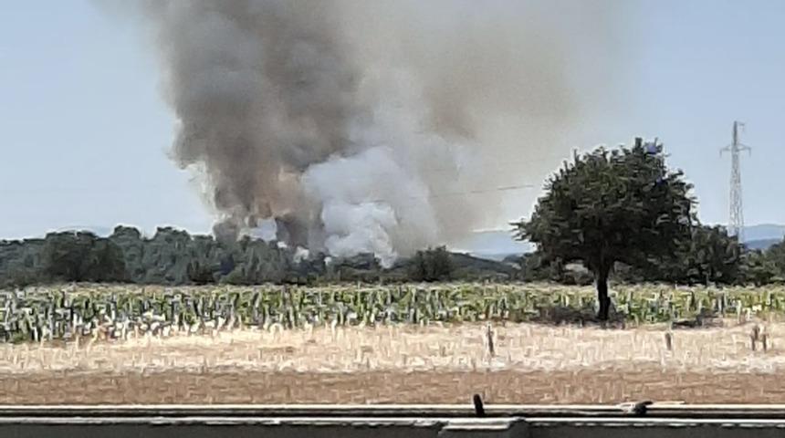 Çanakkale'de orman yangını