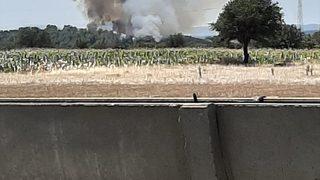 GÜNCELLEME - Çanakkale'de orman yangını çıktı