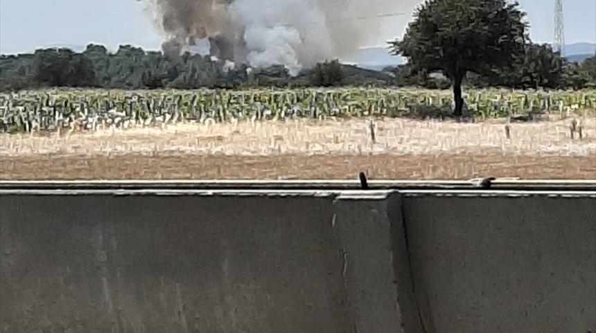 G&Uuml;NCELLEME - &Ccedil;anakkale'de orman yangını &ccedil;ıktı