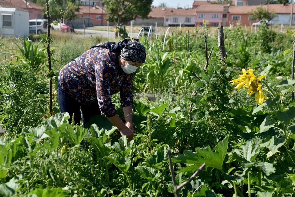 Vatandaşları toprakla buluşturan Esentepe Mahalle Bah&ccedil;esi beğeni topluyor