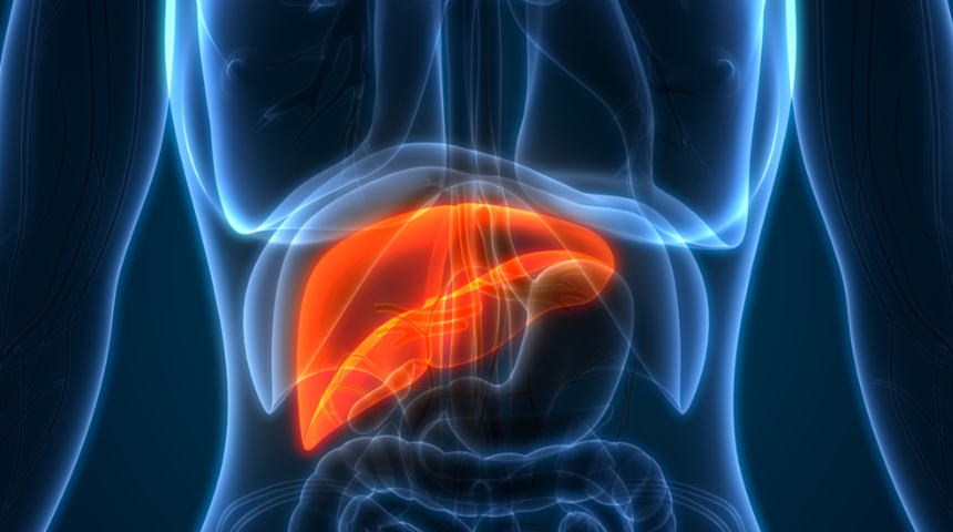 Karaciğer nerede, ağrısı nereye vurur?