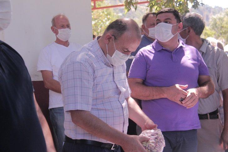 Mut’ta Antep Fıstığı hasadına başlandı G4