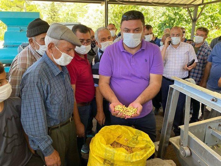 Mut’ta Antep Fıstığı hasadına başlandı G5