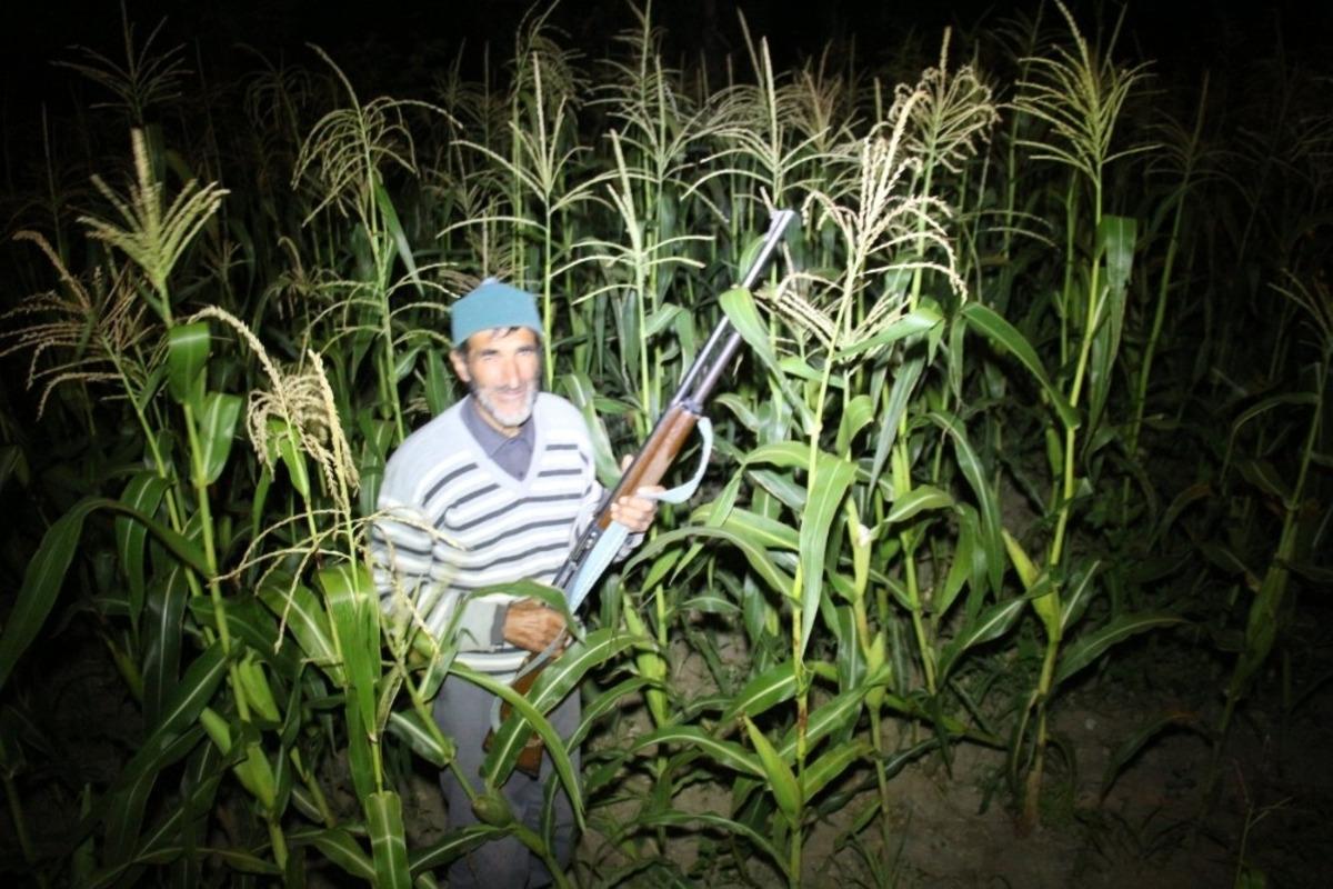 Kaleboğaz k&ouml;y&uuml;nde bostan n&ouml;beti