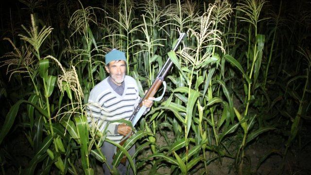 Kaleboğaz köyünde bostan nöbeti