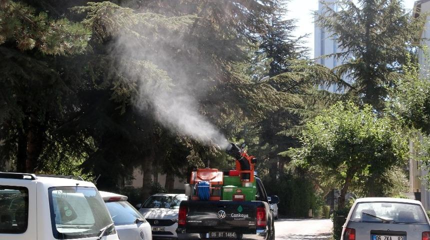 &Ccedil;ankaya&rsquo;da ila&ccedil;lama &ccedil;alışmaları s&uuml;r&uuml;yor