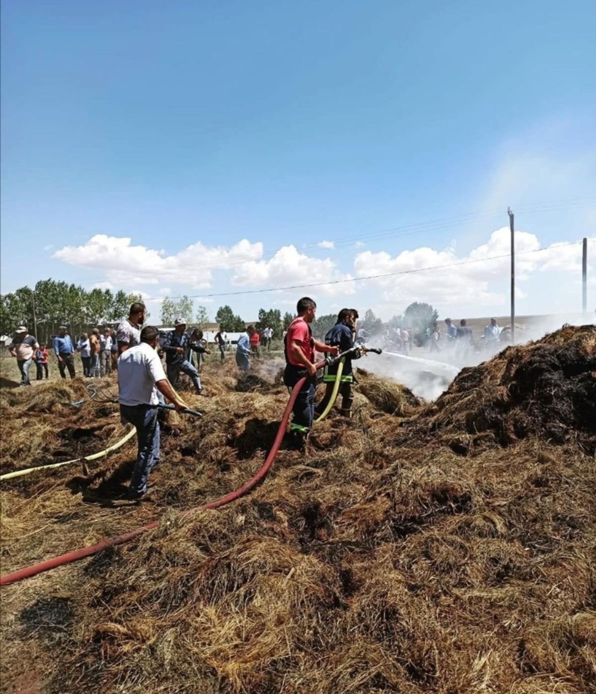 &Ouml;zalp il&ccedil;esinde ot yangını