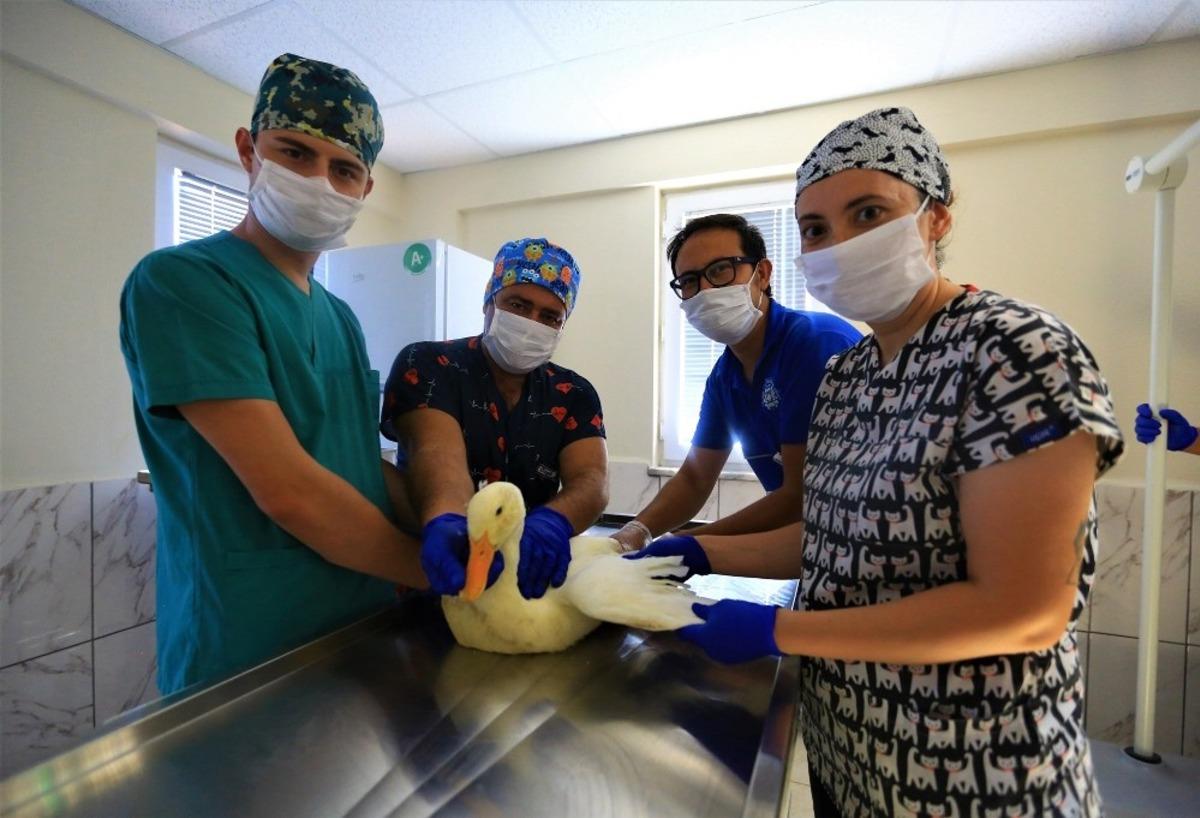 20 bin can dostu şifa buldu