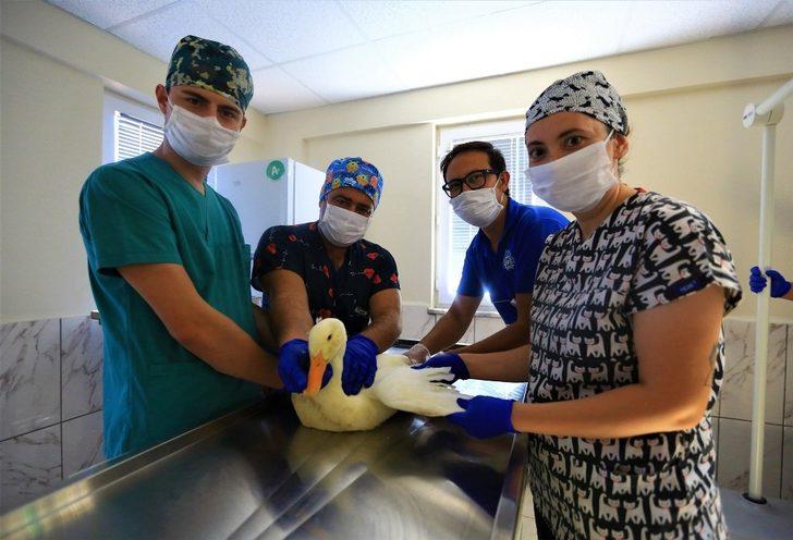 20 bin can dostu şifa buldu G1