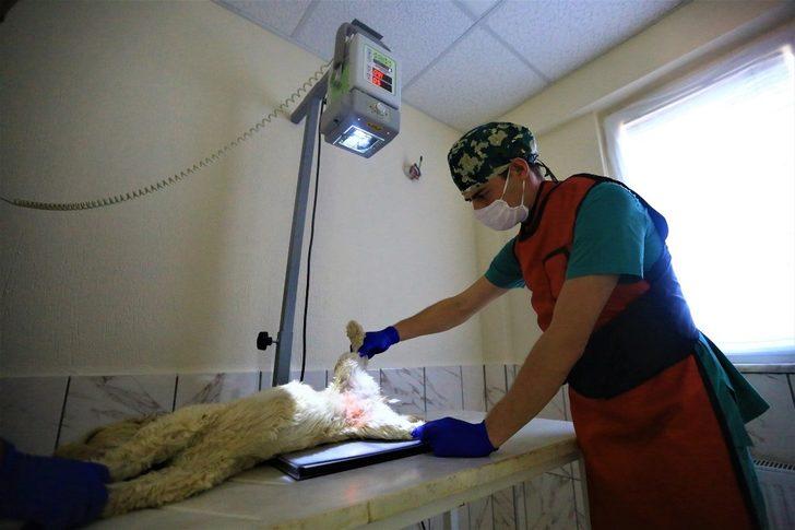 20 bin can dostu şifa buldu G2