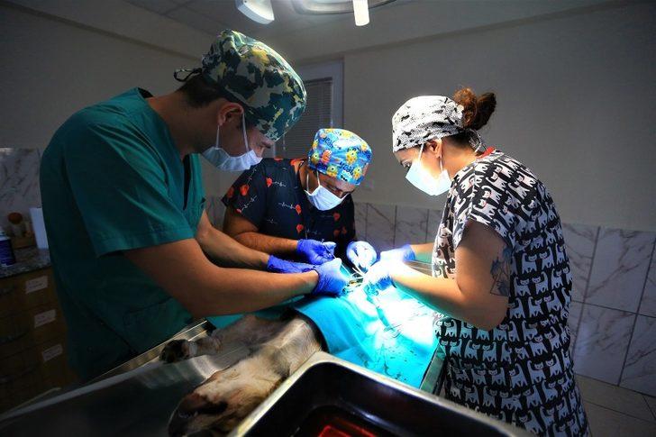 20 bin can dostu şifa buldu G4