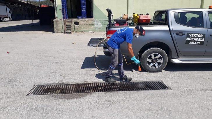 Büyükşehir Belediyesinden Kumluca ve Beykent  Toptancı Halinde ilaçlama G3