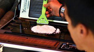 Arı zehrinin fiyatı dudak uçuklatıyor: Gramı 100 dolar