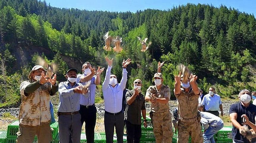 Bin adet keklik doğaya salındı