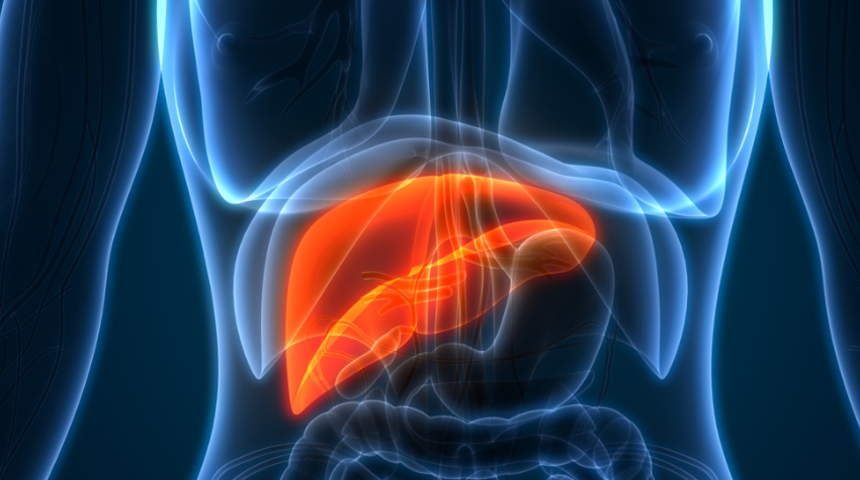 Karaciğer büyümesi (Hepatomegali) tedavisi, neden olur, belirtileri nelerdir?