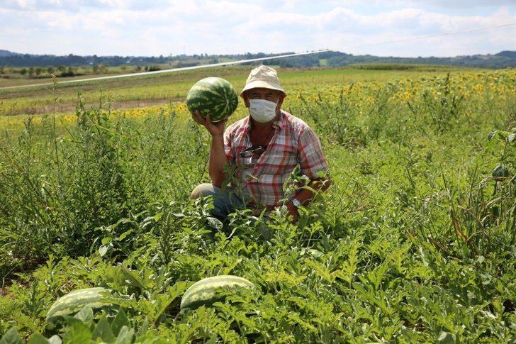 Kandıra Karpuzu ağızları tatlandırıyor G1