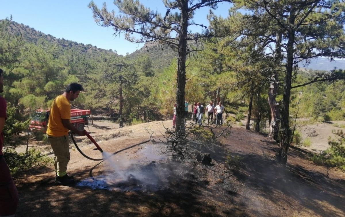 Osmancık&rsquo;ta aynı yerde iki g&uuml;n arayla orman yangını