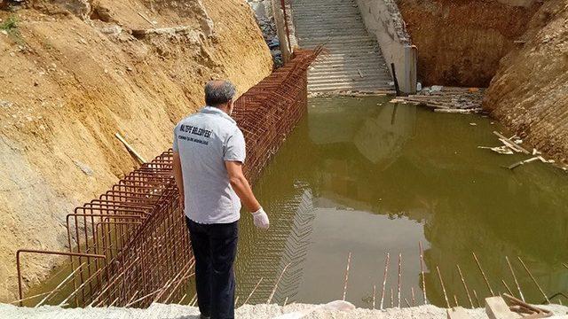 Maltepe’de vektörle mücadele devam ediyor