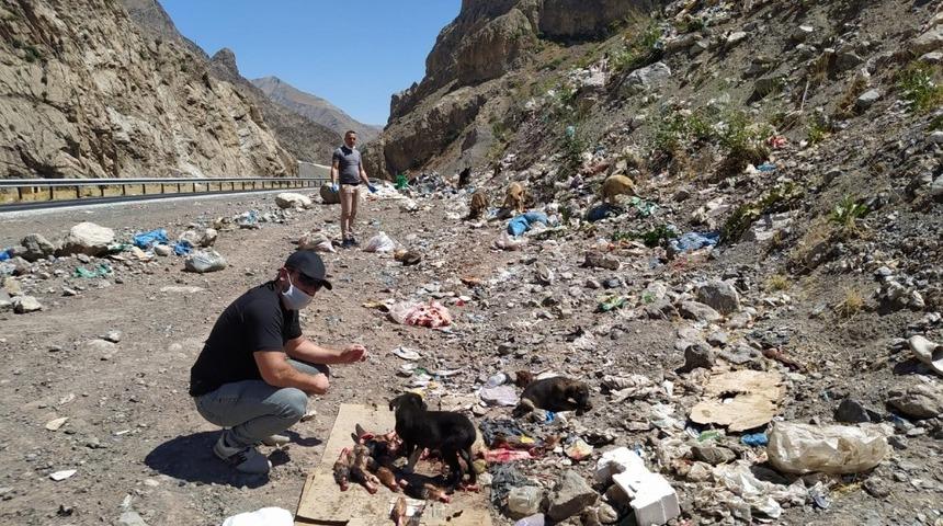 Belediye ekibi sahipsiz hayvanları kendi elleriyle besledi