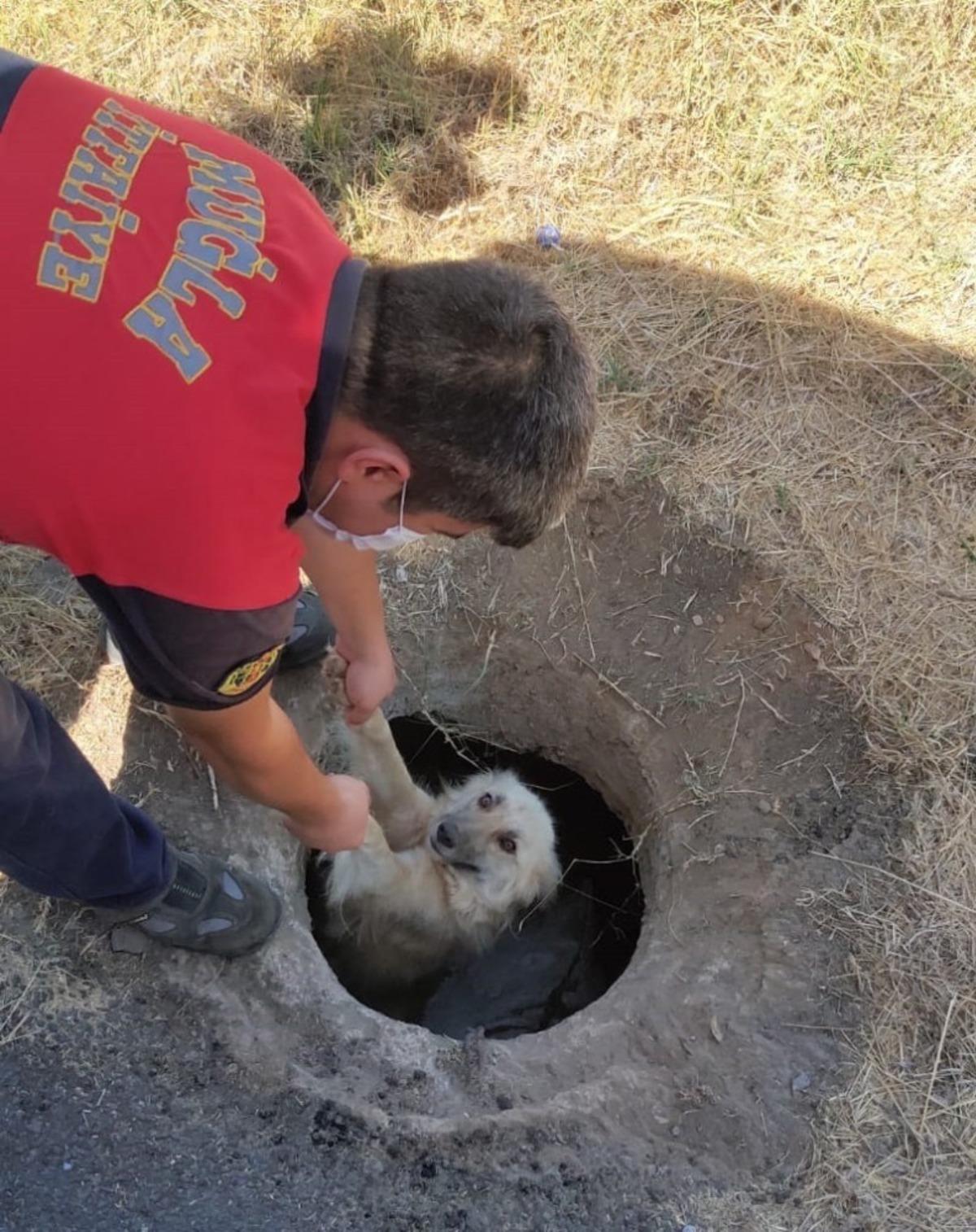 Sevimli k&ouml;pek, itfaiyenin yardımı ile kurtuldu