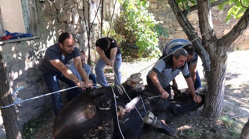 Erzincan’da 27 bin 200 kurban kesildi