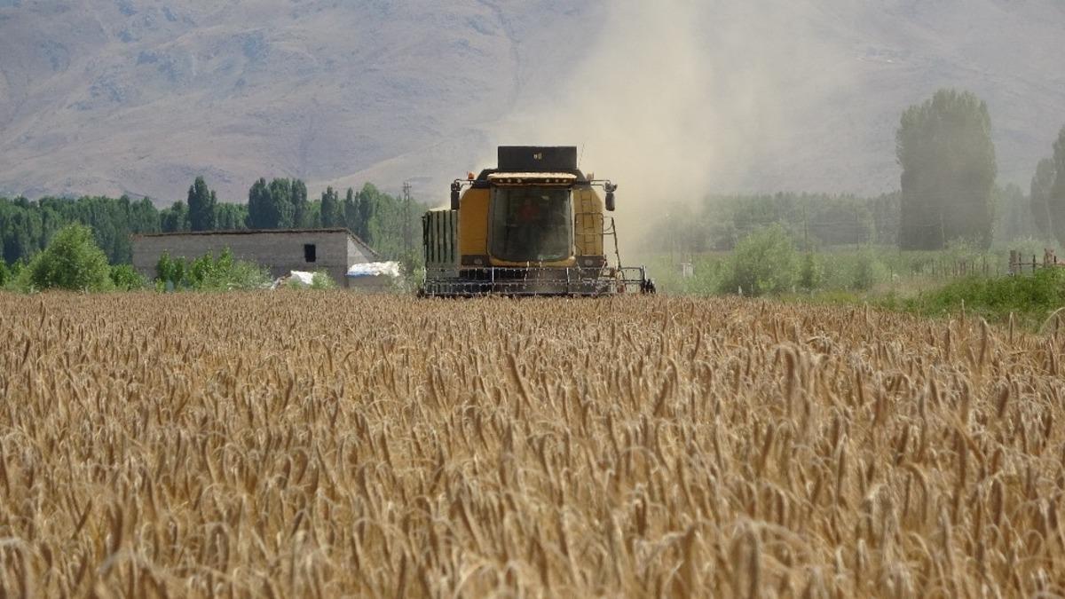 Muşlu &ccedil;ift&ccedil;iler devlet desteğiyle dağıtılan tritikaleden memnun