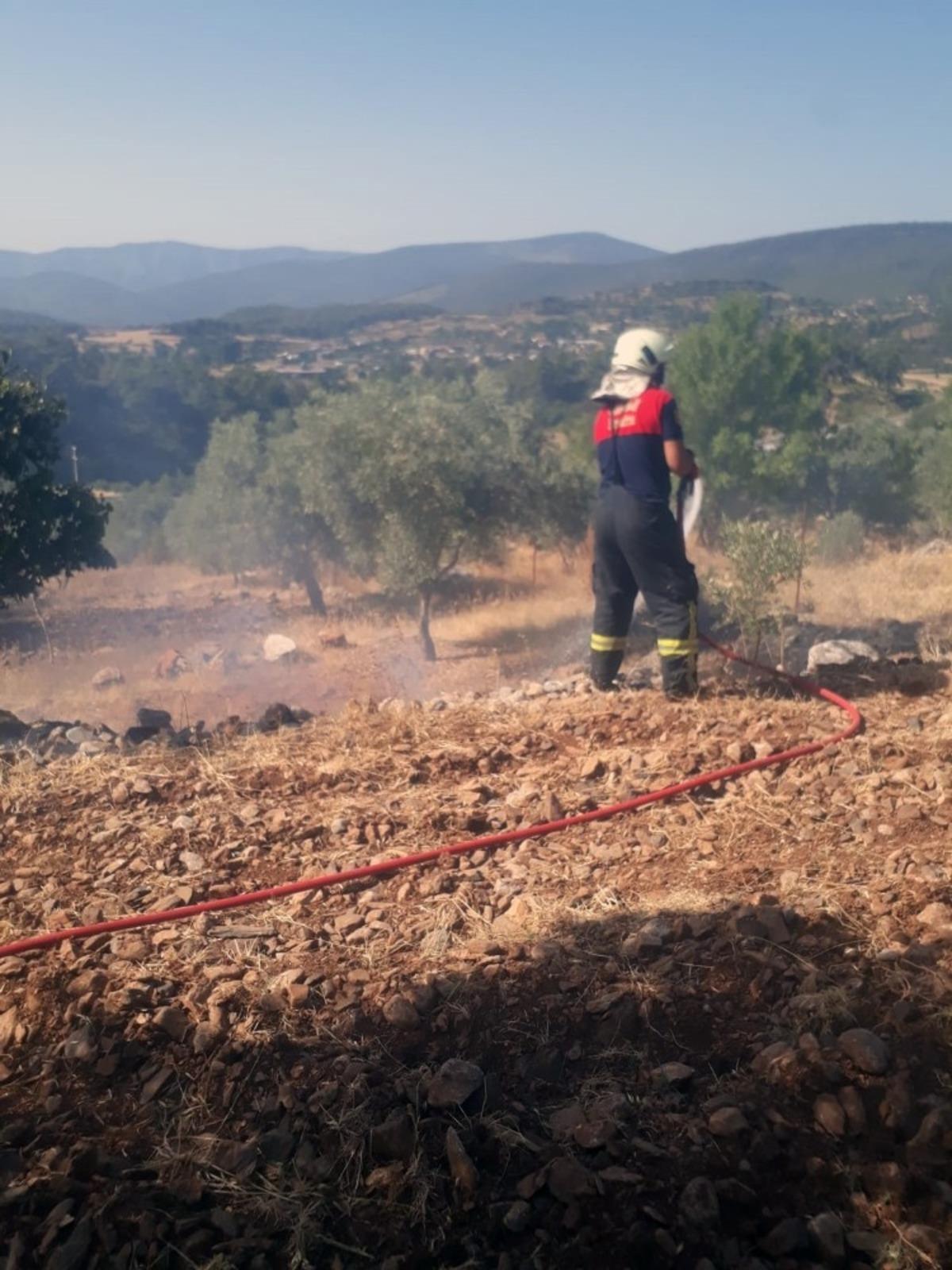 Otluk alanda yangın