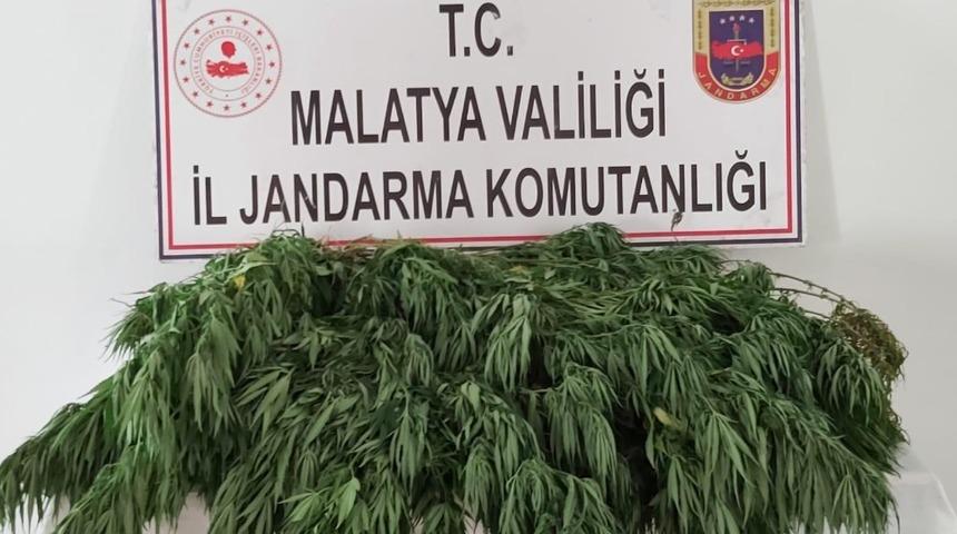 Hazine arazisine ka&ccedil;ak kenevir ekti