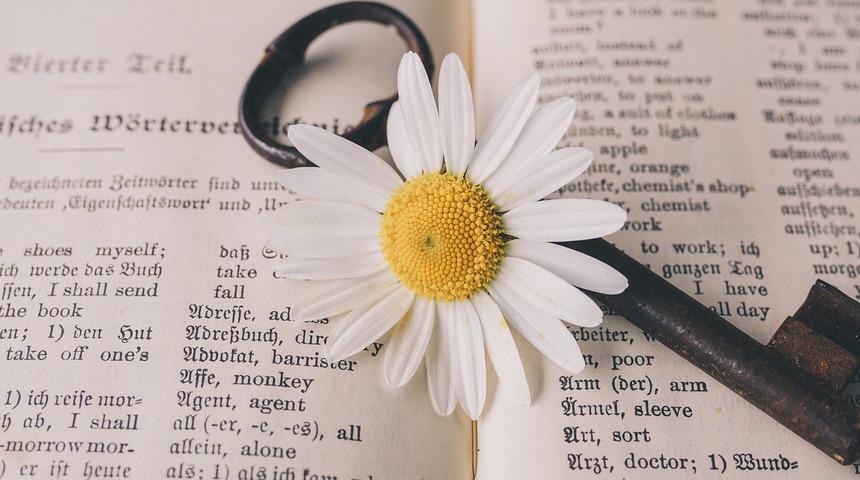 İngilizce güzel sözler: Birbirinden güzel cümleler