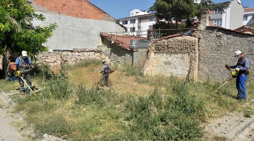 Yabani ot temizliği s&uuml;r&uuml;yor