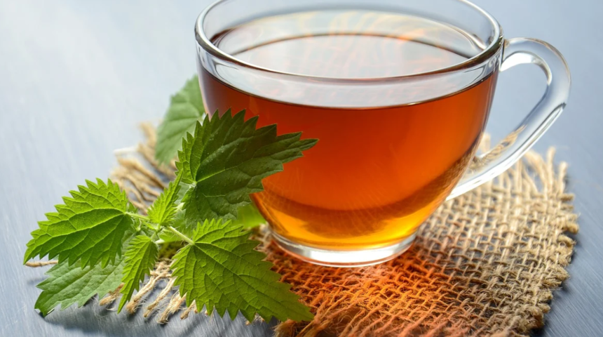 Isırgan otunun faydaları nelerdir? Ne işe yarar? Nasıl demlenir?