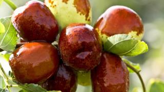 Hünnabın faydaları nelerdir? Nasıl tüketilir? Hangi hastalıklara iyi gelir?