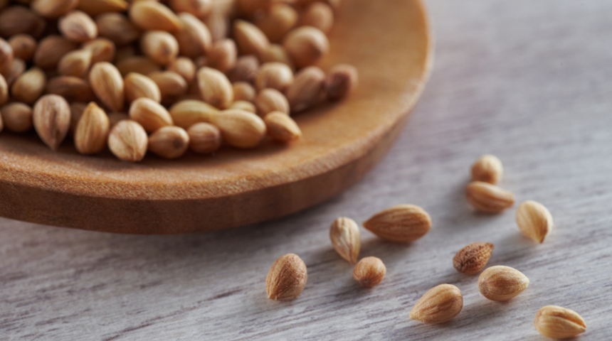 Mahlebin faydaları nelerdir? Hangi yemeklerde kullanılır? Neye iyi gelir?