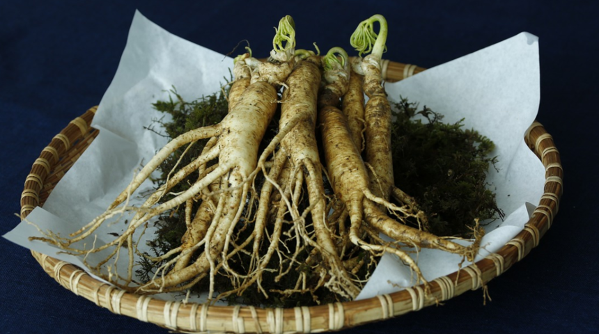 Ginsengin faydaları nelerdir? Ne zaman kullanılmalı? Neye iyi gelir?
