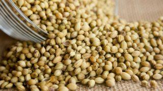 Kişnişin faydaları nelerdir? Hangi hastalıklara iyi gelir? Nasıl tüketilir?