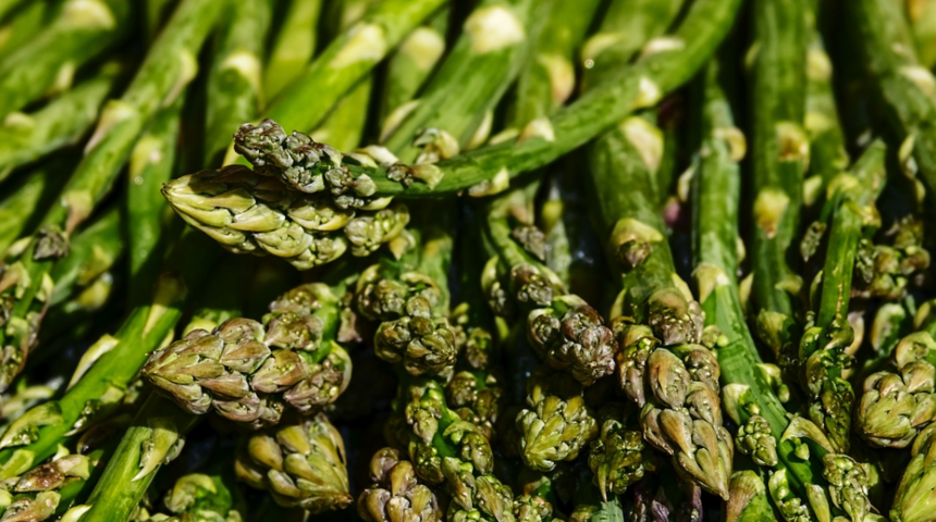 Kuşkonmazın faydaları nelerdir? Nasıl pişirilir? Ne zaman tüketilmelidir?