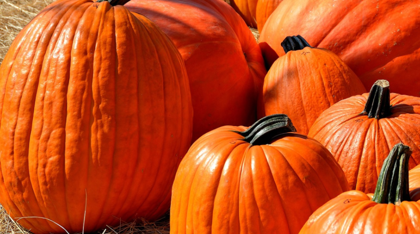 Balkabağının faydaları nelerdir? Ne işe yarar? Zayıflatır mı?