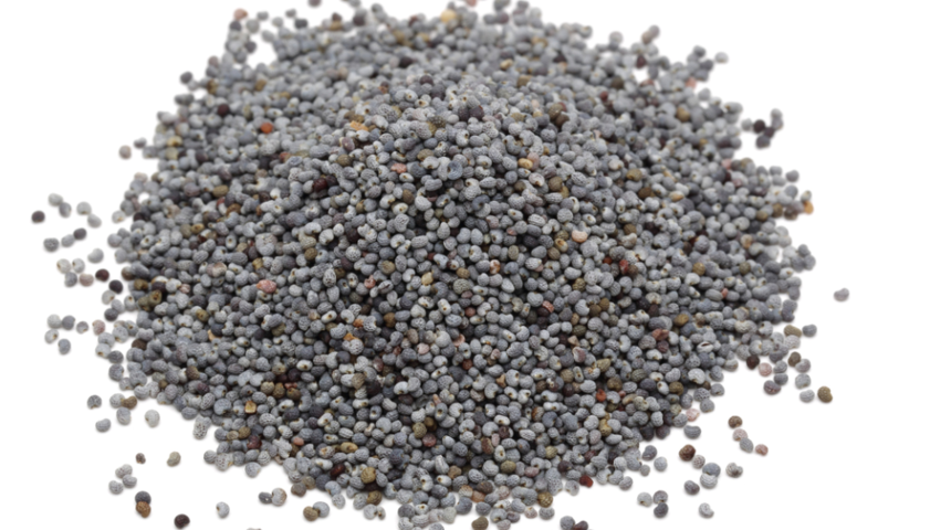 Haşhaşın faydaları nelerdir? Nasıl tüketilir? Hangi rahatsızlıklara iyi gelir?