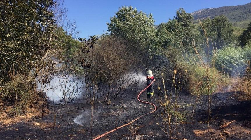 2 hektar otluk alan yandı