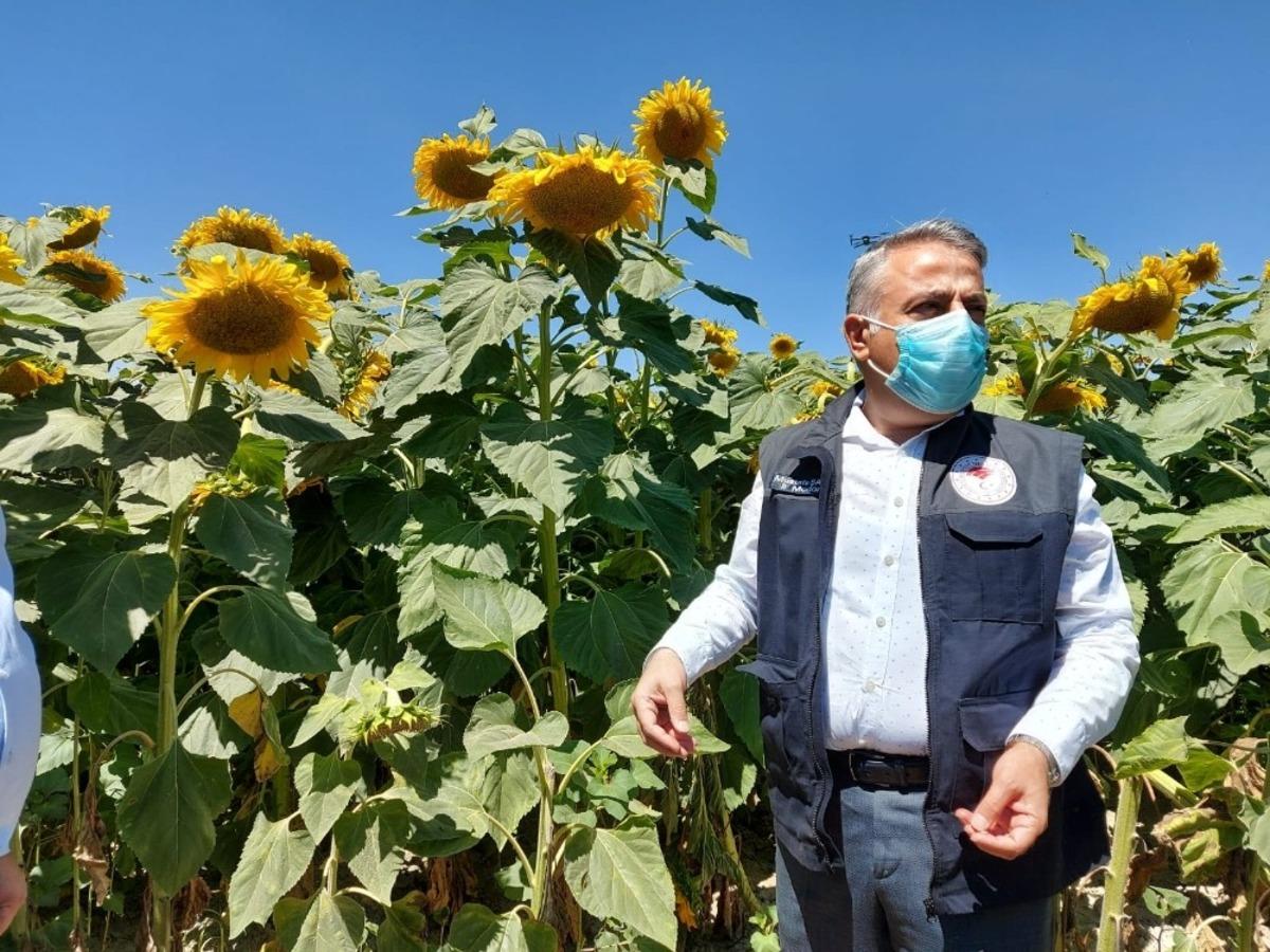 Mustafa Şahin: "Kayseri, T&uuml;rkiye&rsquo;deki &ccedil;erezlik &ccedil;ekirdek &uuml;retiminin y&uuml;zde 18&rsquo;ini karşılamaktadır&rdquo;