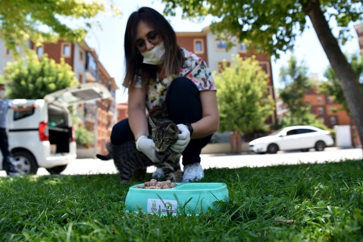 Sıcak havalarda can dostlarını unutmayalım