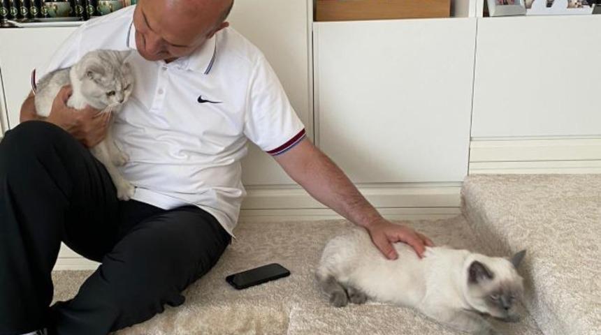 S&uuml;leyman Soylu'dan 'D&uuml;nya Kediler G&uuml;n&uuml;' paylaşımı