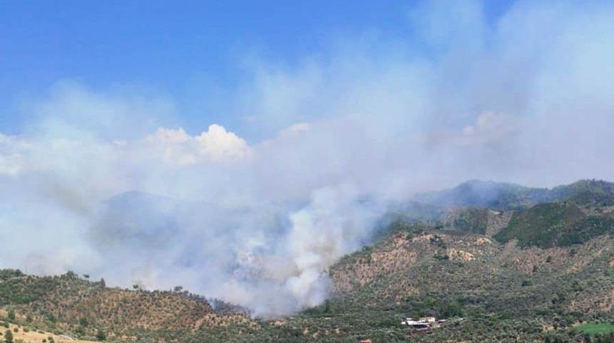 Milas&rsquo;ta orman yangını