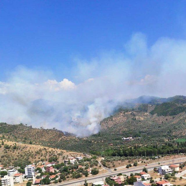 Milas’taki orman yangınına müdahale sürüyor