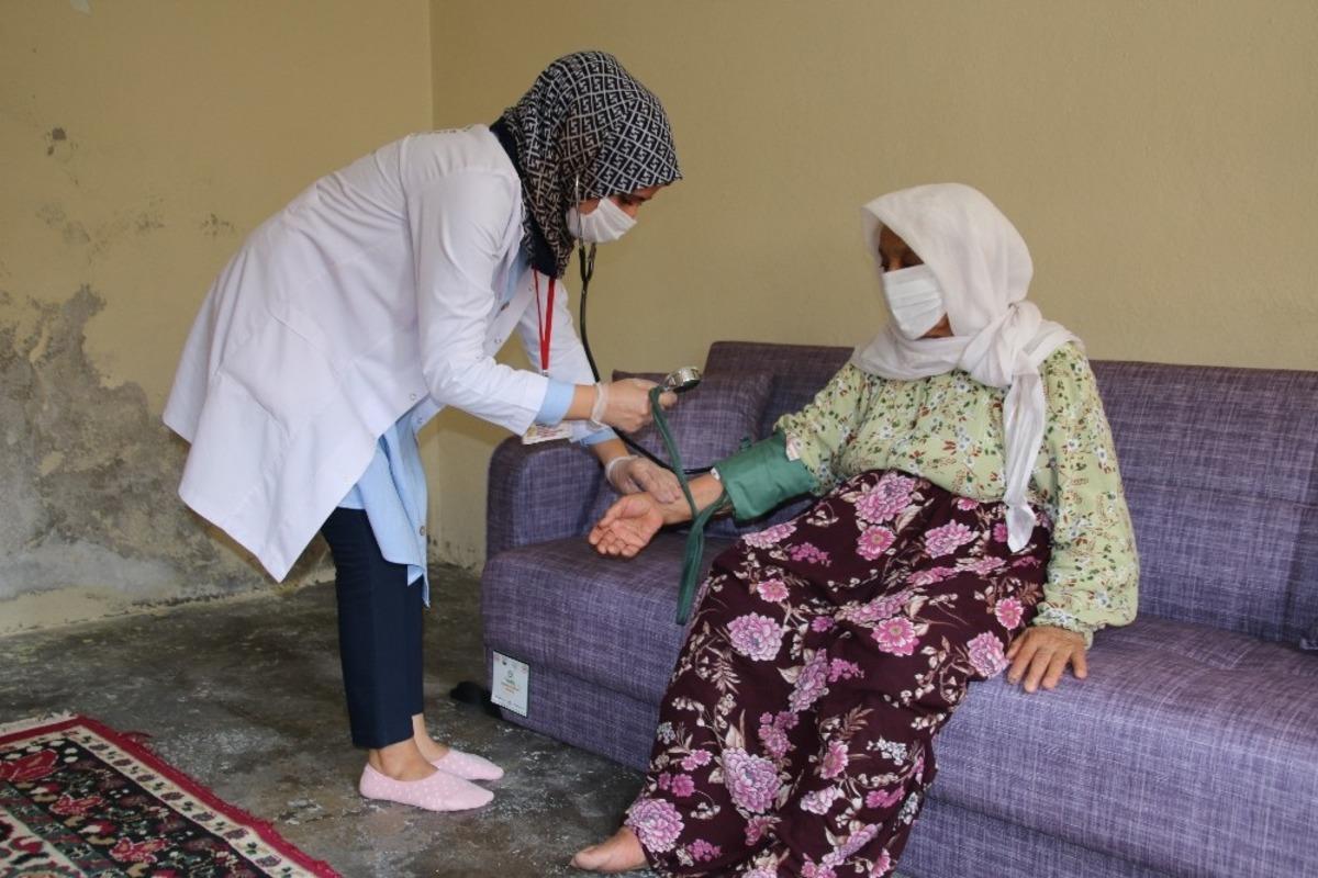 Yeşeren &ccedil;ınarlara destek s&uuml;r&uuml;yor