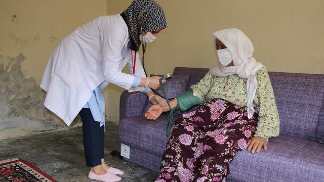 Yeşeren çınarlara destek sürüyor