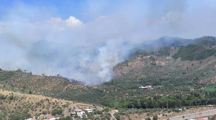 Muğla'da korkutan yangın! 7 saat sonra kontrol altına alındı