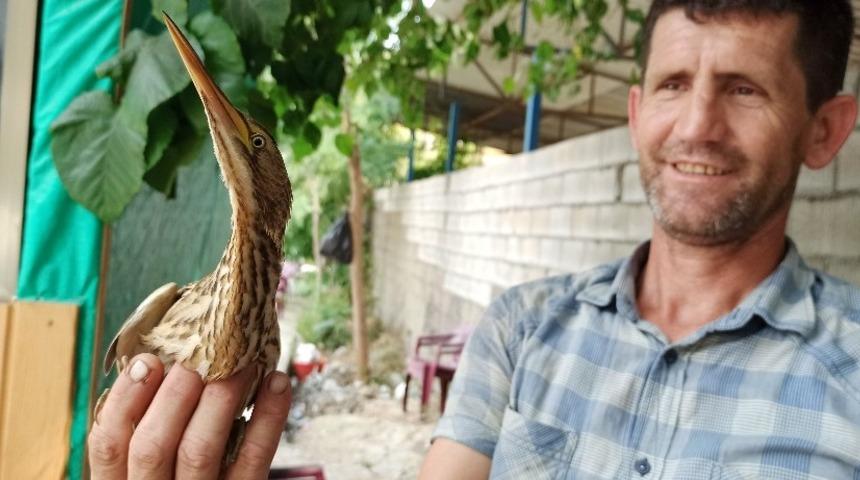 Bursa’da nesli tükenmekte olan ilginç misafir