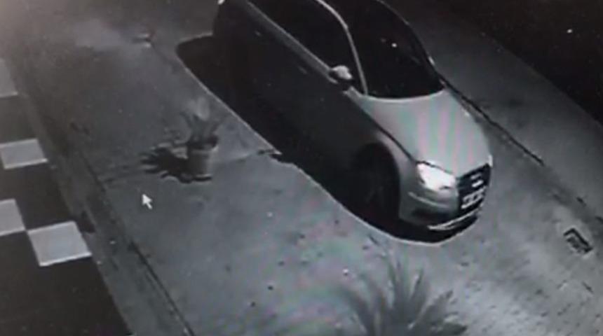 L&uuml;ks ara&ccedil;la gelip saksıdaki bitkiyi &ccedil;aldılar