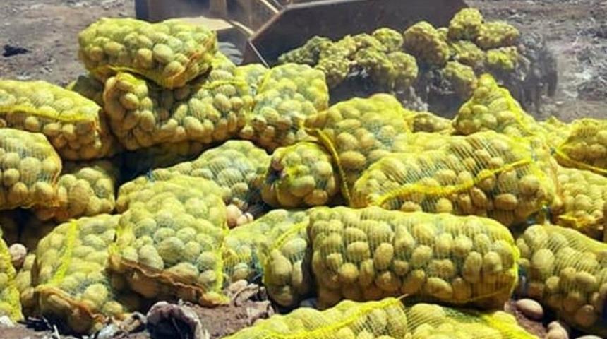 25 Ton patates imha edildi